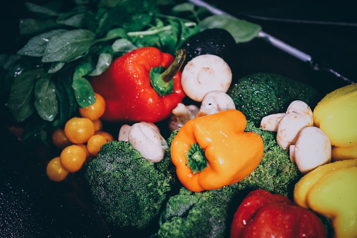 Nutrición para adultos
